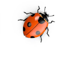 Lollxpop4's Ladybugs