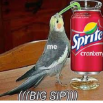 sprite is C R A C K E D
