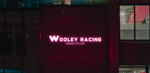WooleyStudios: Fantasy Division