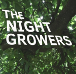 THE NIGHT GROWERS (official)