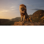 lion cub club