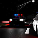 Detriot Police