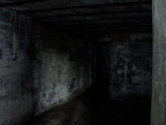 anything screenshot 2