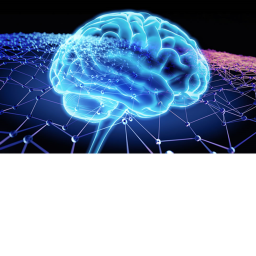 my brain