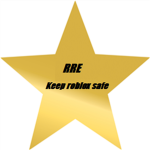 Roblox Rule Enforcement