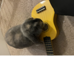 Bon Bonnie