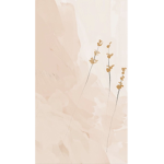 AAestheticrosess