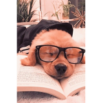 Puppy’s heart
