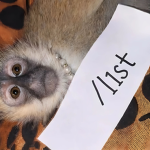 /list