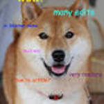 doge clan meme
