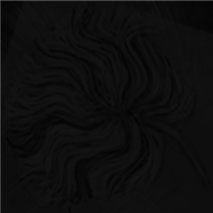 black hair Roblox decal