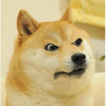 DOGE GANG WOOF WOOF WOOF!!!!!!!!!!!!!!!!!