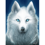 wight wolfs