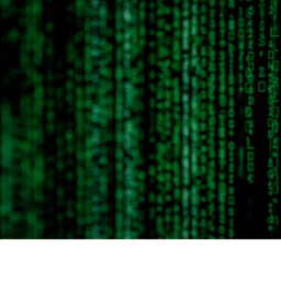 ERROR_404. NO FILES FOUND.