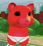 HAMSTERS OF OHIO