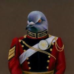 Pigeon's United