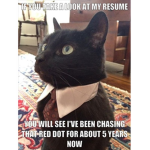 The Black Catzz meow