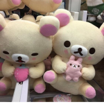buy if cute