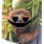 Sloth Lounge