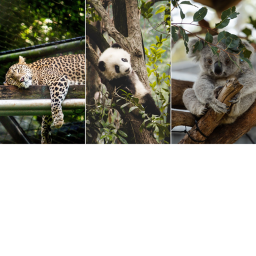 California Western Zoo