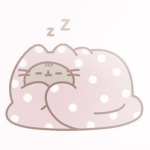 kittis’