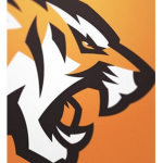TigerPlays Fan Group