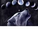 -/!Moon Wolfs!\-