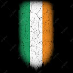 ~DF's Ireland~