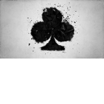 Yincos second group