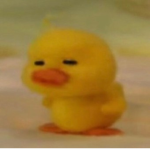 병아리군대