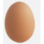 Egg people cult