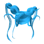 Hydra