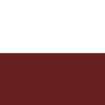 ᅠPolish Land Forces