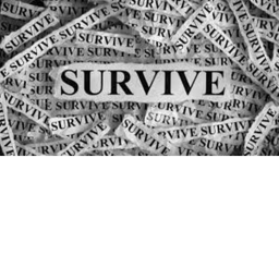 survival mode