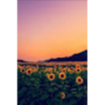 canelita_3