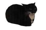 RobName
