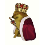 DOGE KINGDOM 7777
