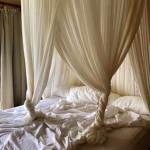 Fresh Duvet’s