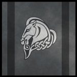 | Whiterun Guard | .