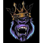 Relics clothing