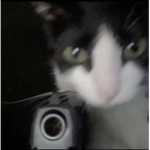 PythonGaming Corp.