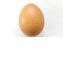 The Chicken Koop