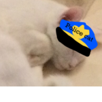 O . D . POLICE