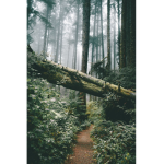 Bradford, Oregon.