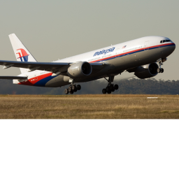 Malaysian Airlines Flight 370