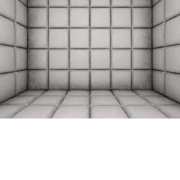 Mental Asylum