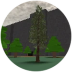 Uncomfortable Tree