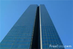 Theo & Roblo's Skyscraper