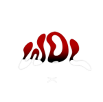 WDL(we don’t lose)