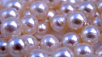 Shining Pearl's
